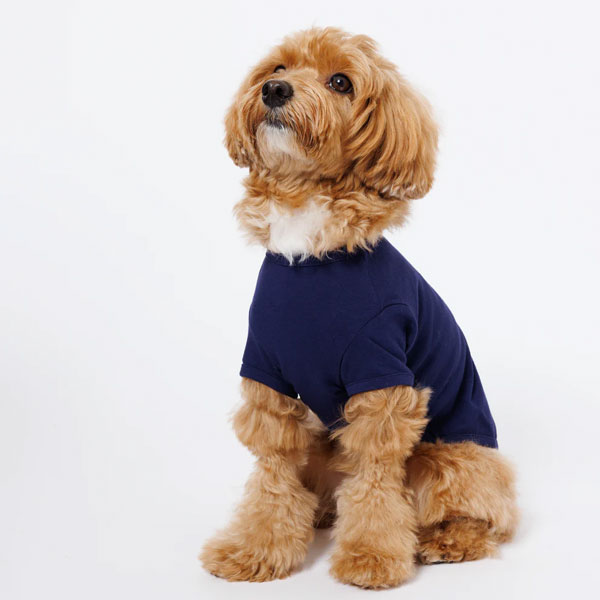 PET ハーフスリーブTシャツ[日本製]（PAW-002）