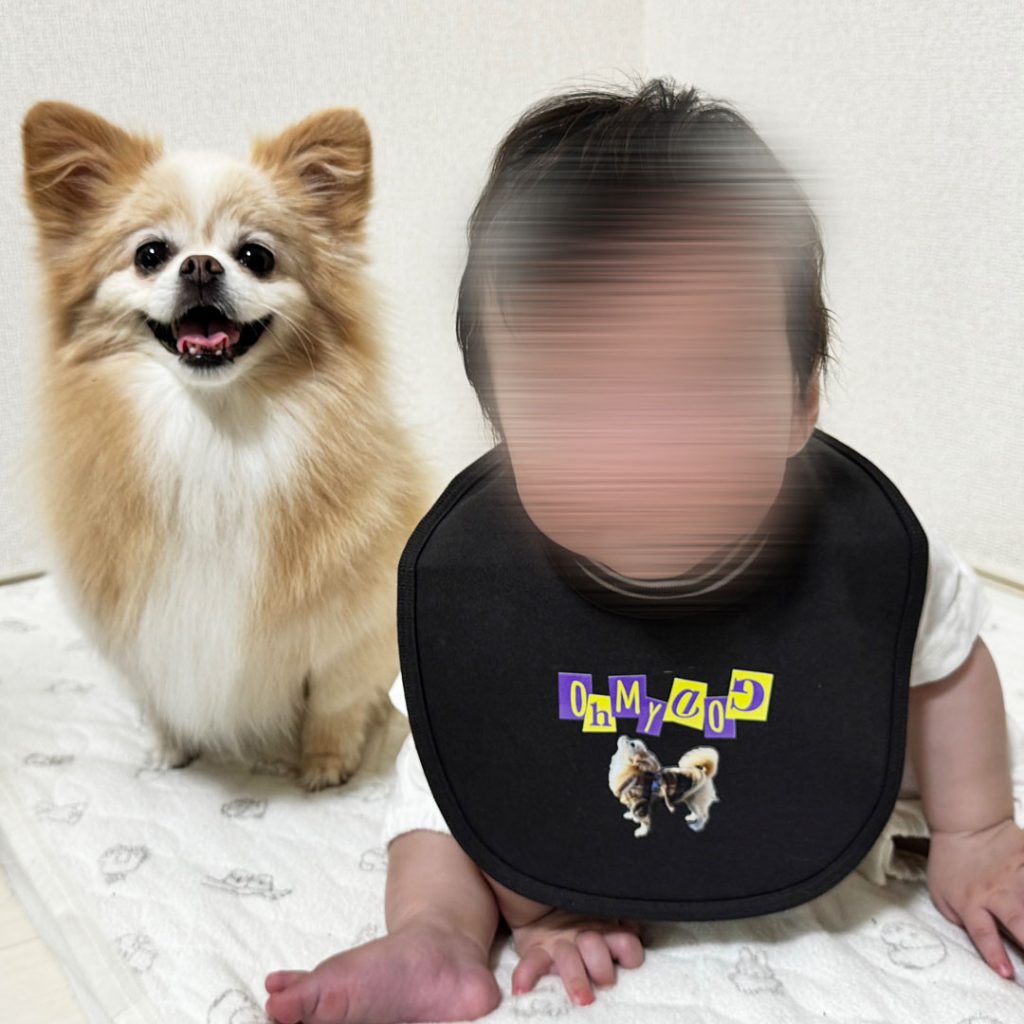 オリジナルスタイ DTFプリント