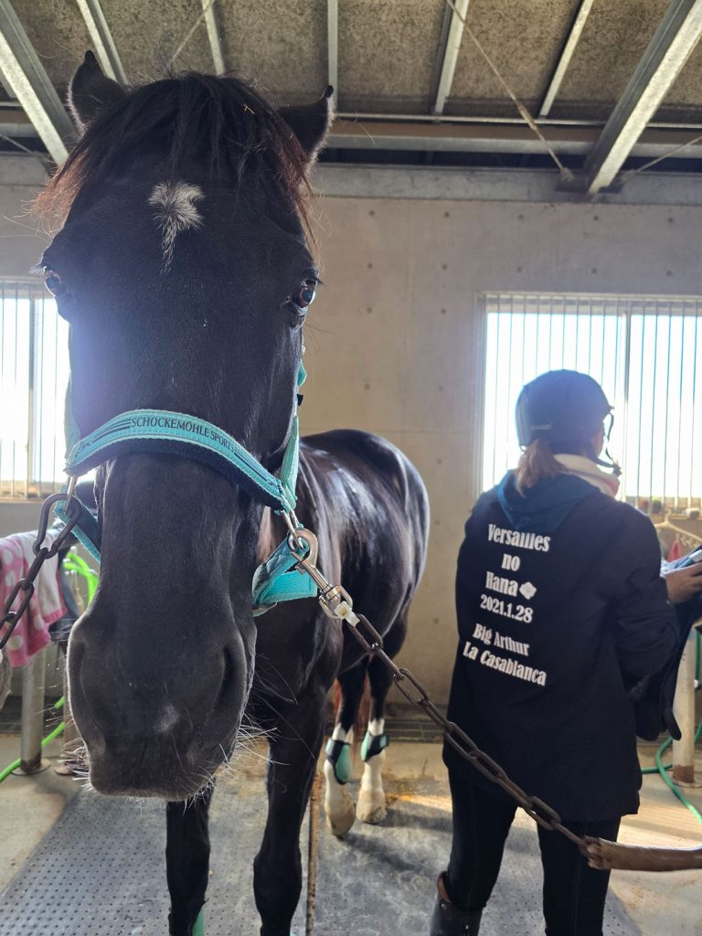 オリジナルジャケット　プリント